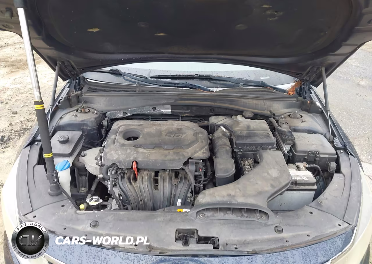 2016 Kia Optima Lx VIN:5XXGT4L39GG010361 - 10
