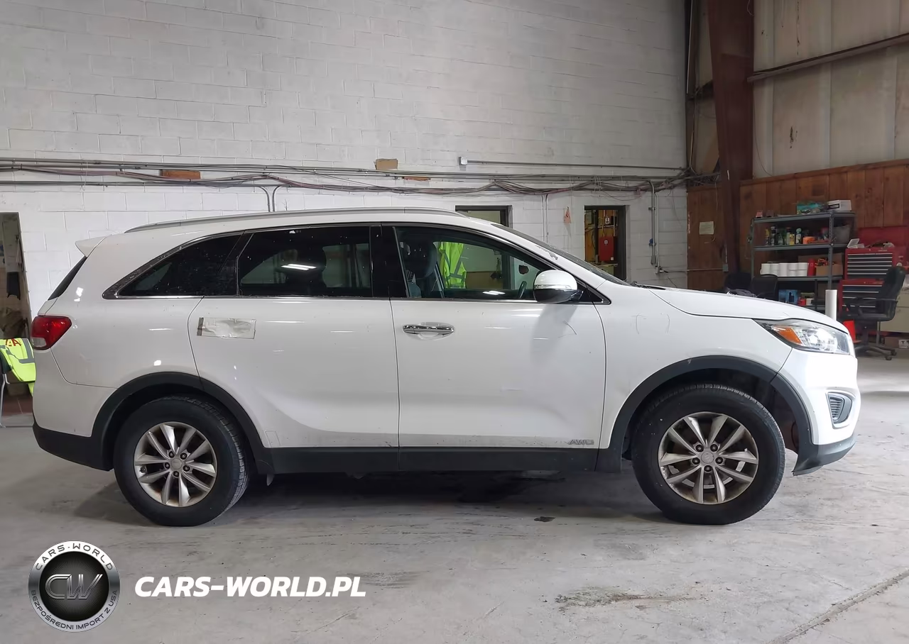 2016 Kia Sorento 2.4L Lx VIN:5XYPGDA34GG045165 - 13