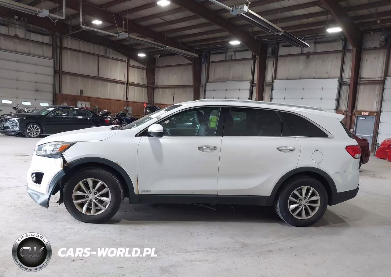 2016 Kia Sorento 2.4L Lx VIN:5XYPGDA34GG045165 - 14