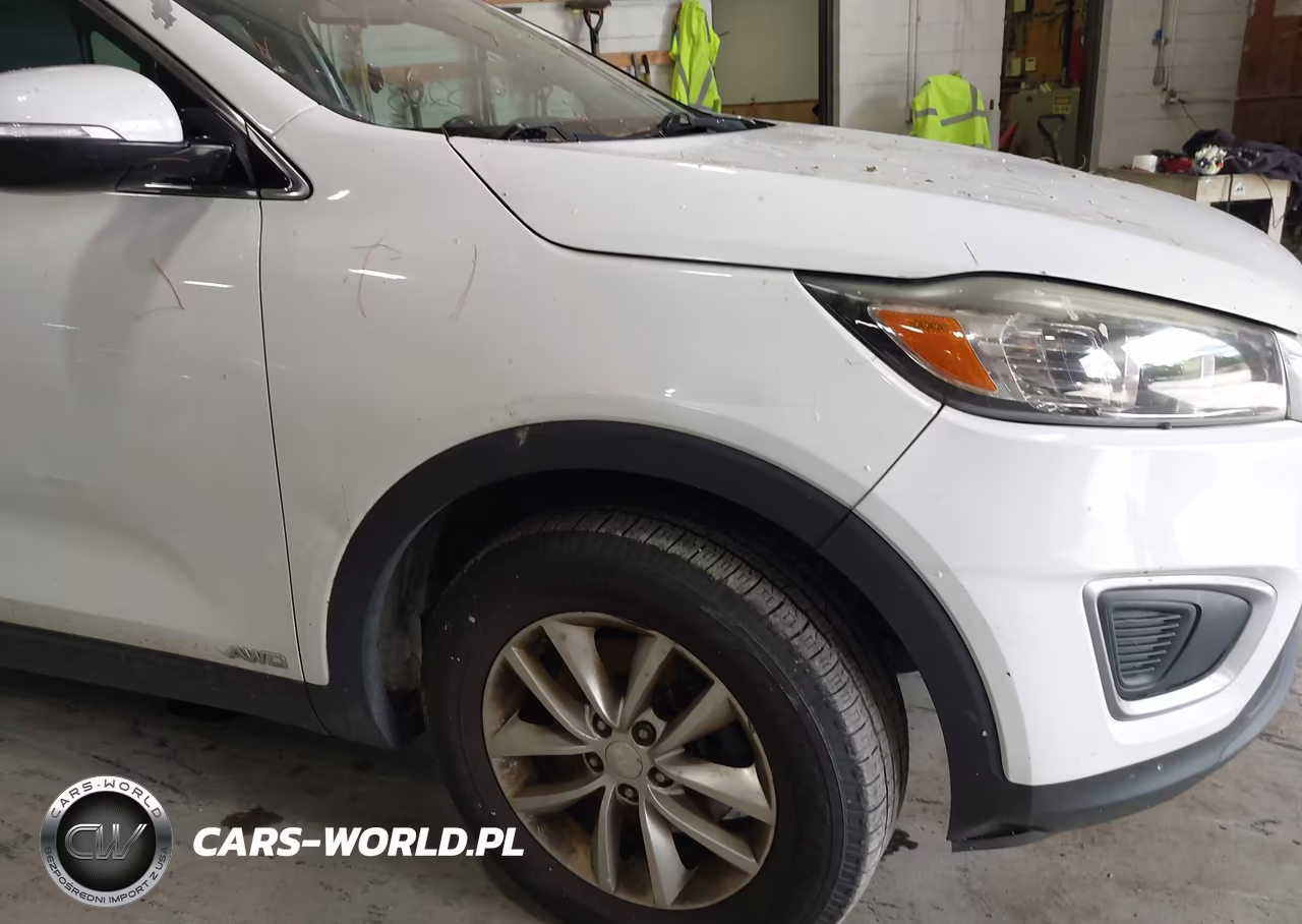 2016 Kia Sorento 2.4L Lx VIN:5XYPGDA34GG045165 - 17