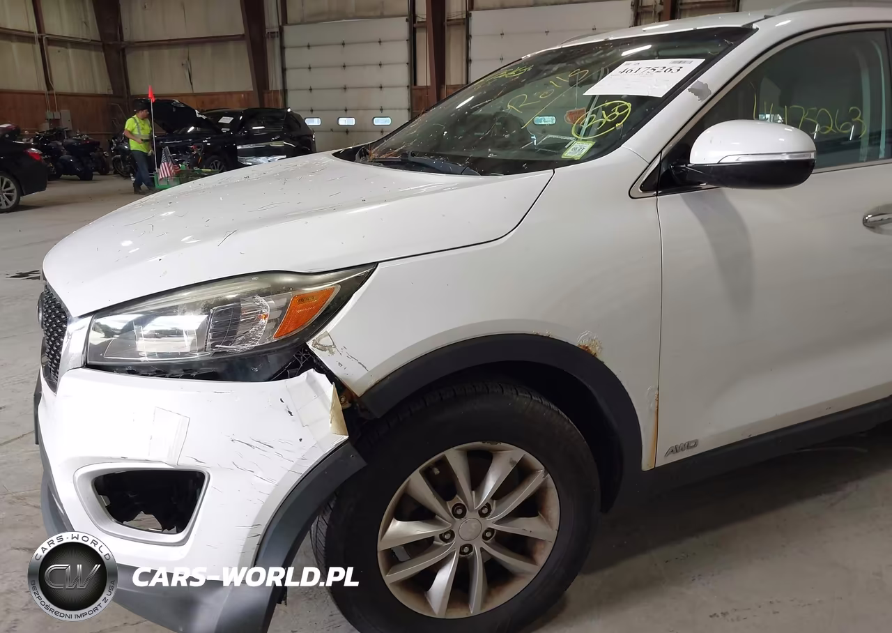 2016 Kia Sorento 2.4L Lx VIN:5XYPGDA34GG045165 - 6