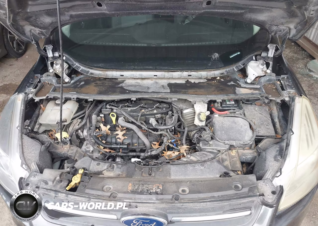 2015 Ford Escape Se VIN:1FMCU9GX2FUB62461 - 10