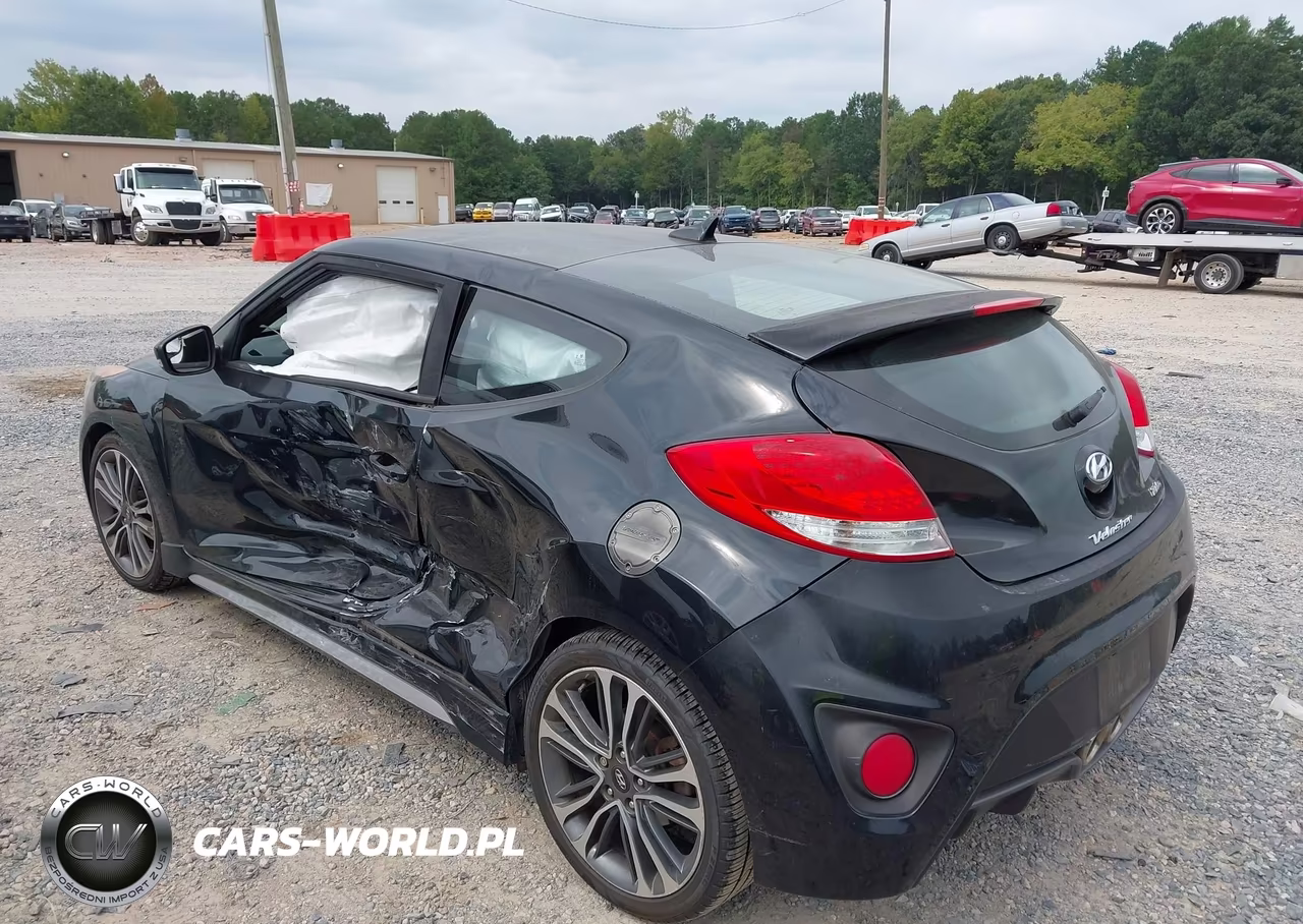2016 Hyundai Veloster Turbo VIN:KMHTC6AE8GU302331 - 3
