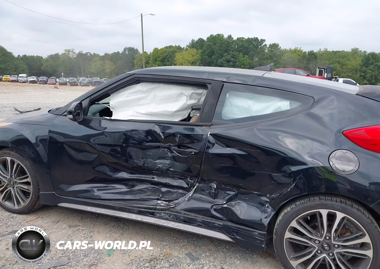 2016 Hyundai Veloster Turbo VIN:KMHTC6AE8GU302331 - 6