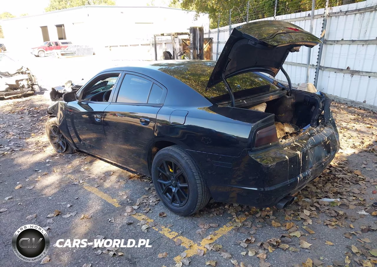 2014 Dodge Charger Police VIN:2C3CDXAT1EH204820 - 3
