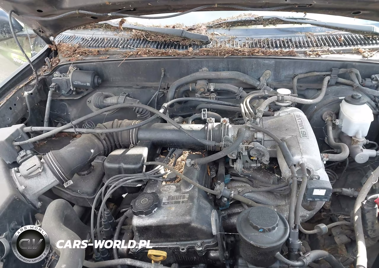 1998 Toyota Tacoma VIN:4TAWM72N3WZ071841 - 10