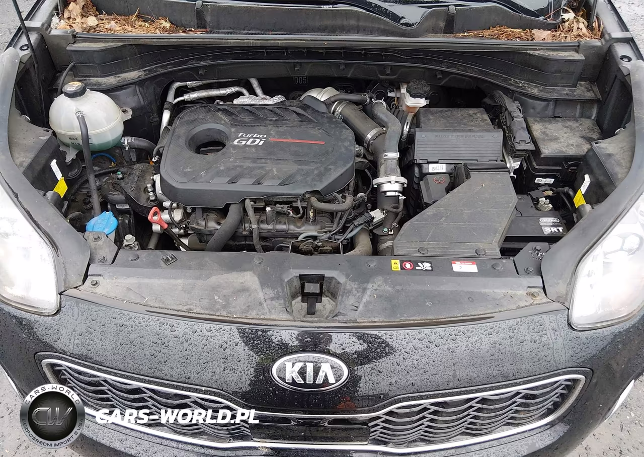 2019 Kia Sportage Sx Turbo VIN:KNDPRCA66K7625182 - 10
