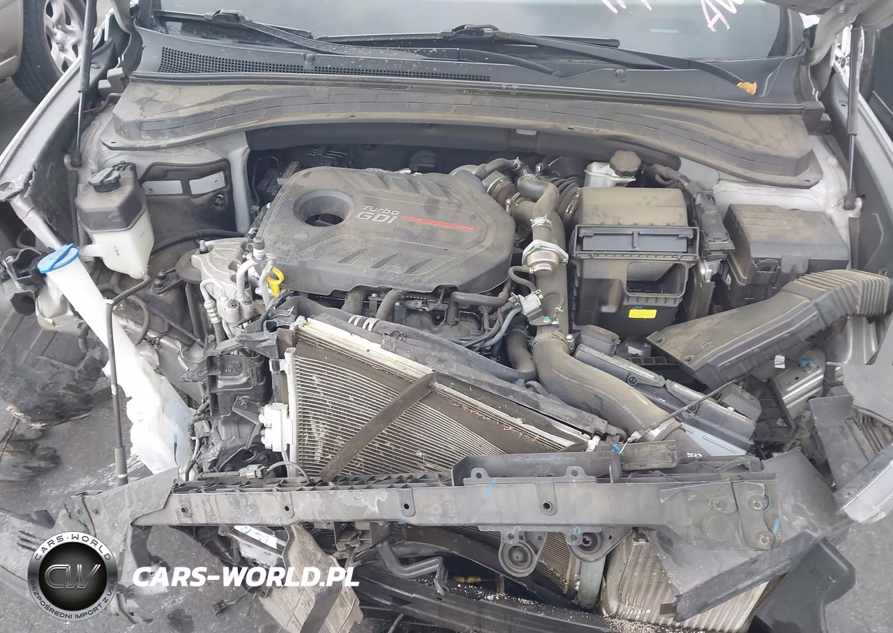 2020 Hyundai Santa Fe Sel 2.0T VIN:5NMS3CAA4LH188213 - 10