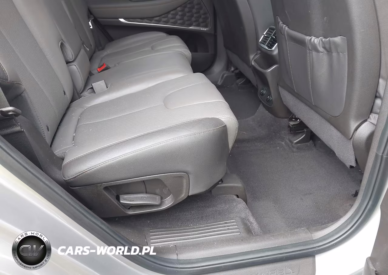 2020 Hyundai Santa Fe Sel 2.0T VIN:5NMS3CAA4LH188213 - 8