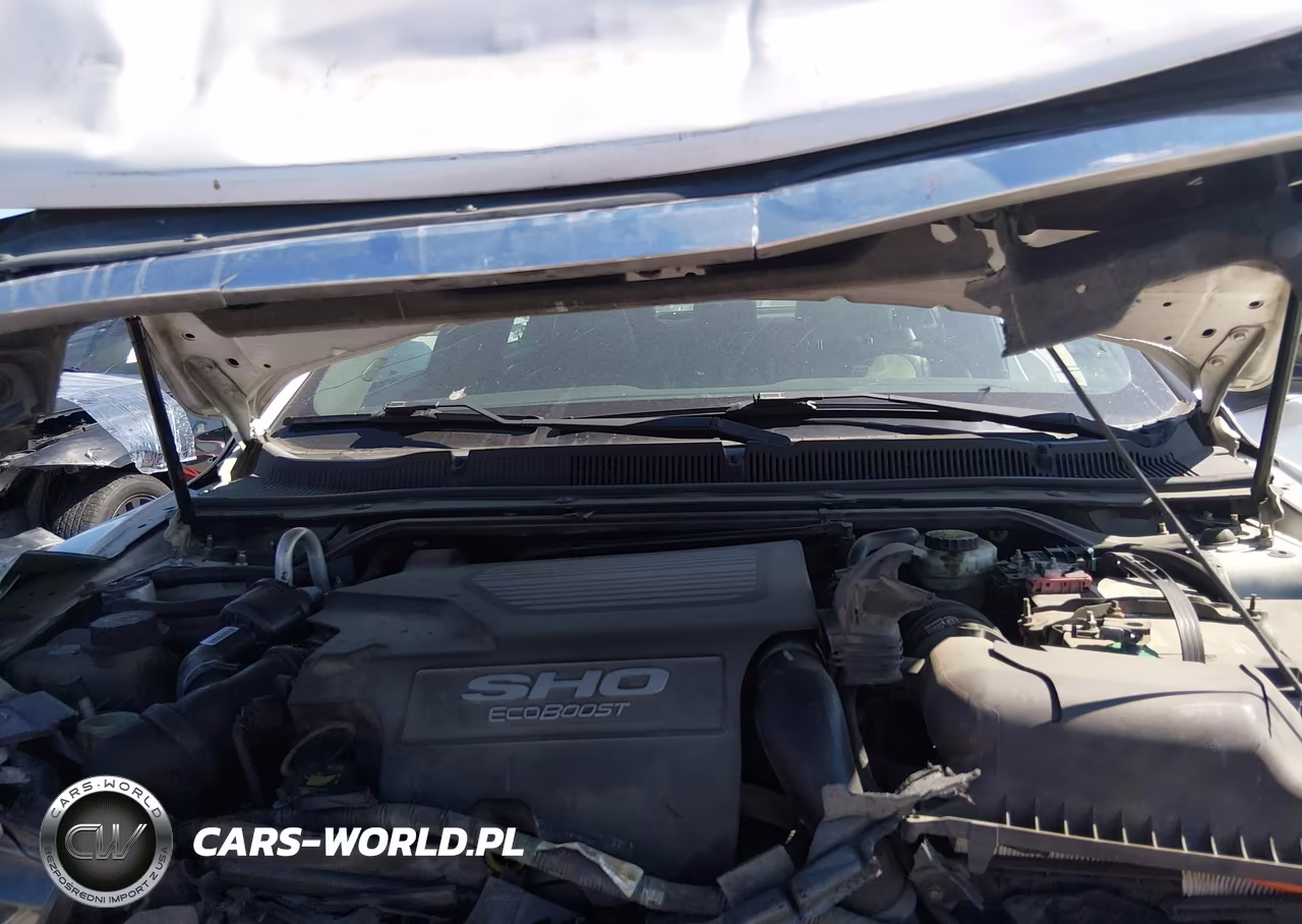 2014 Ford Taurus Sho VIN:1FAHP2KT4EG140445 - 10