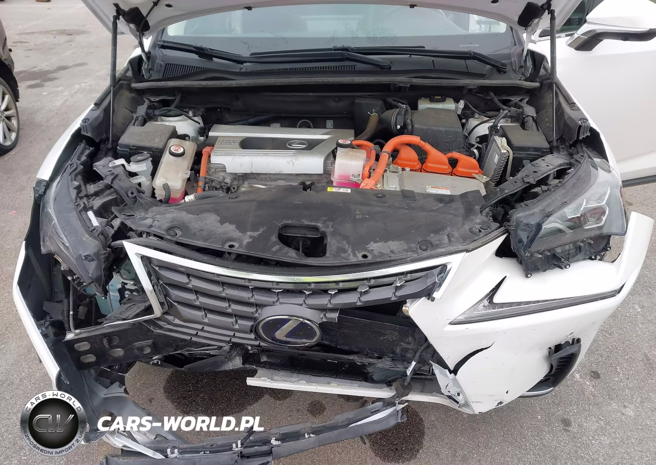 2020 Lexus Nx 300H Luxury VIN:JTJHJRDZ8L5006842 - 10