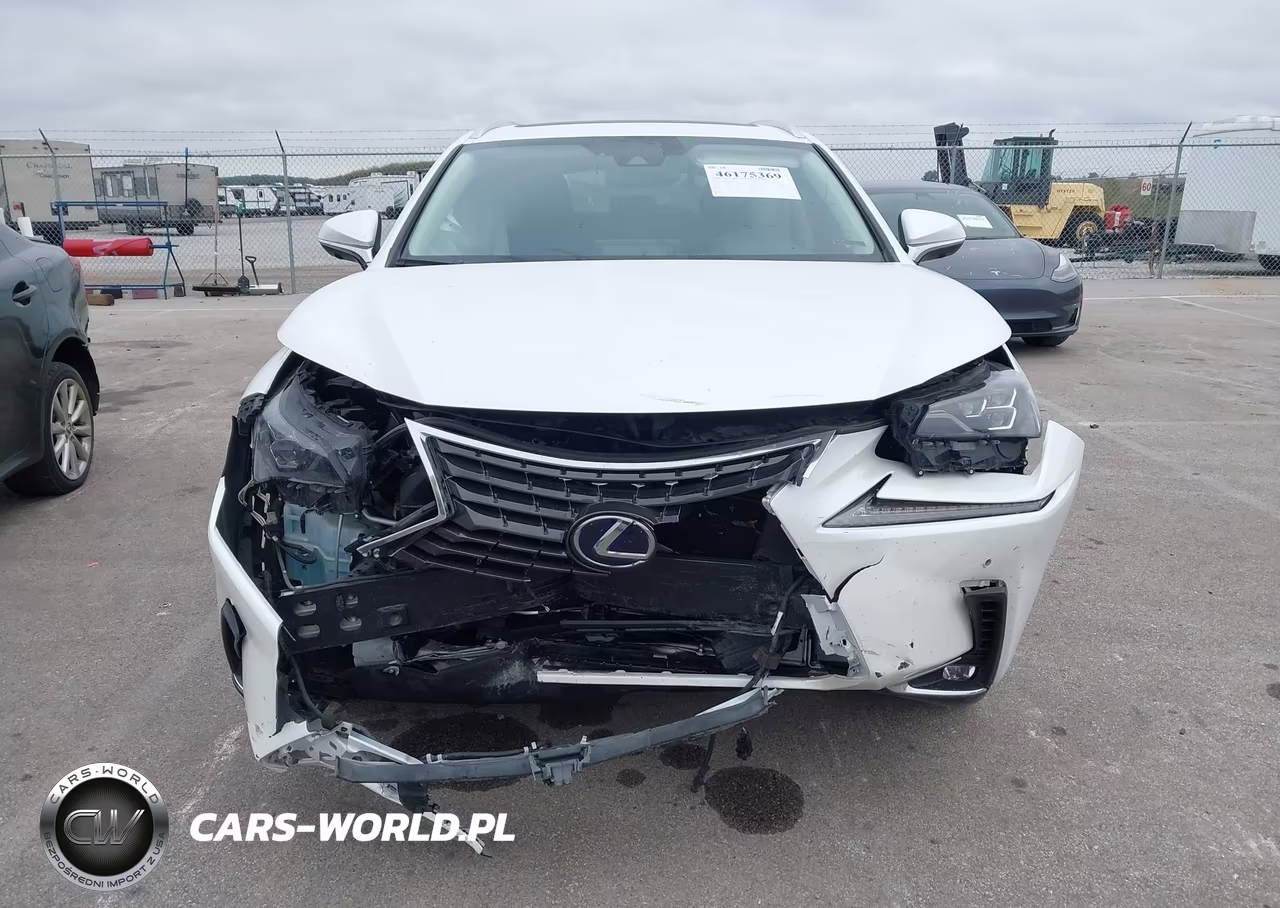 2020 Lexus Nx 300H Luxury VIN:JTJHJRDZ8L5006842 - 13