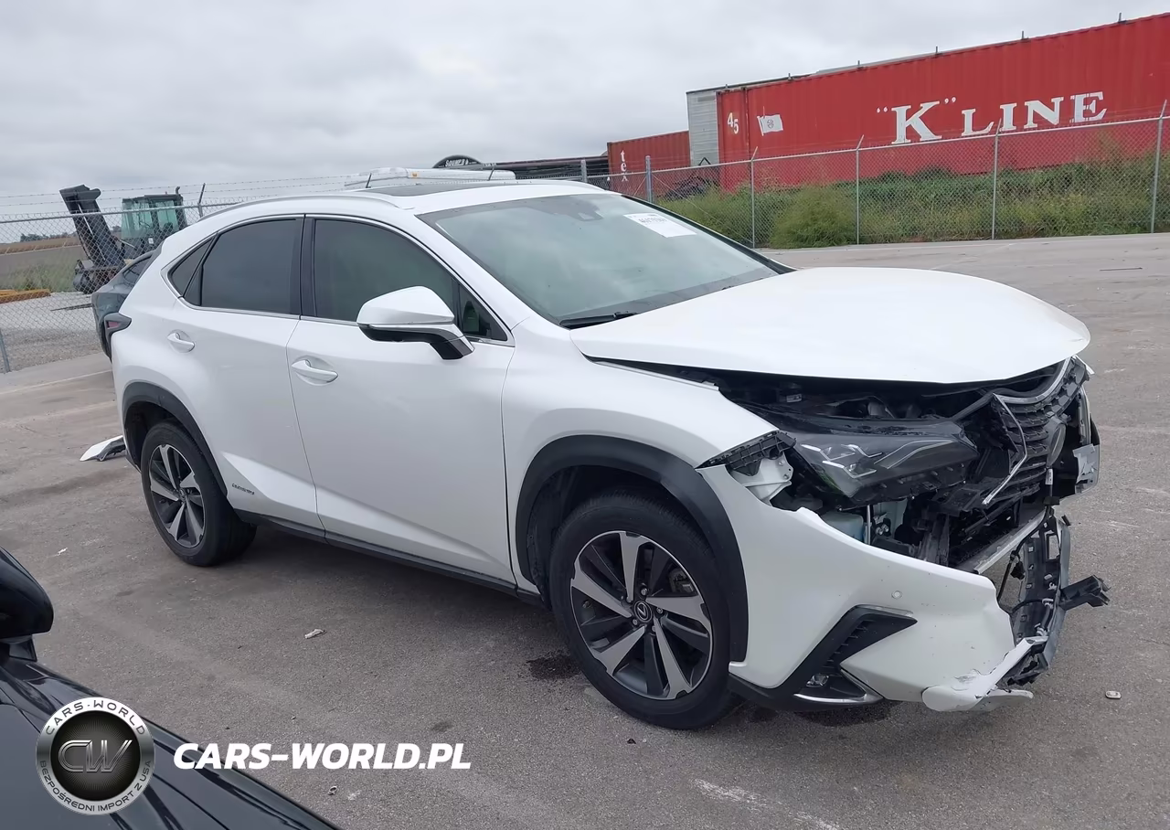 2020 Lexus Nx 300H Luxury VIN:JTJHJRDZ8L5006842 - 14