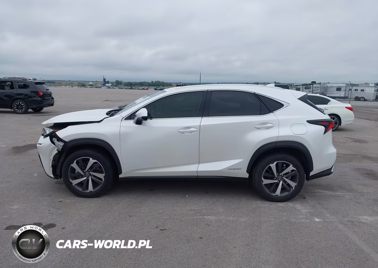 2020 Lexus Nx 300H Luxury VIN:JTJHJRDZ8L5006842 - 15