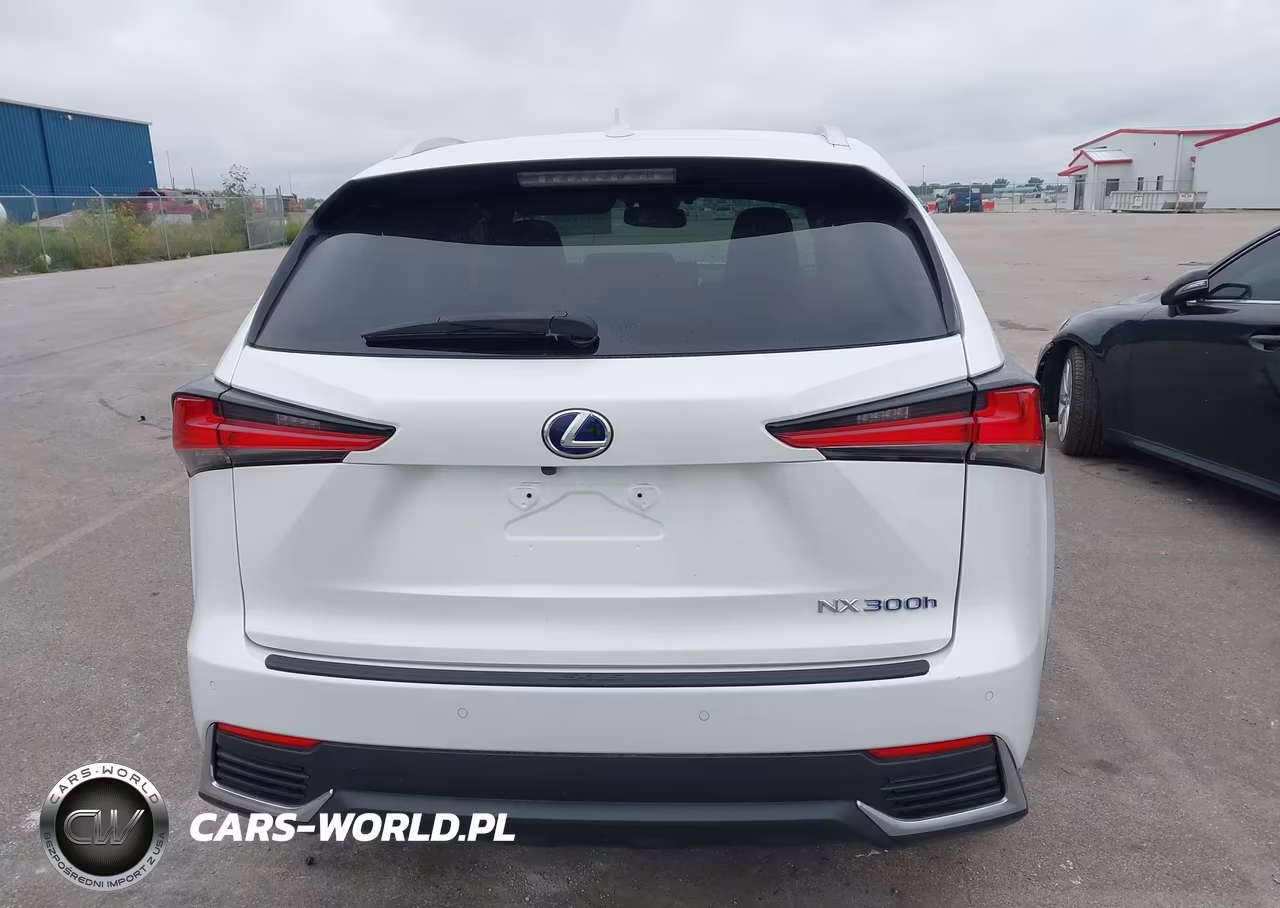 2020 Lexus Nx 300H Luxury VIN:JTJHJRDZ8L5006842 - 17