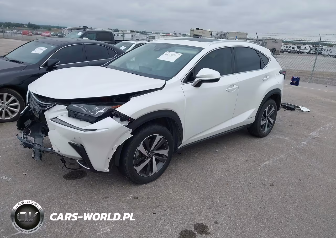 2020 Lexus Nx 300H Luxury VIN:JTJHJRDZ8L5006842 - 2