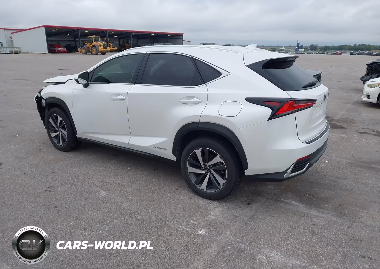 2020 Lexus Nx 300H Luxury VIN:JTJHJRDZ8L5006842 - 3