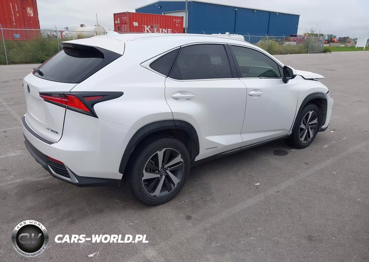 2020 Lexus Nx 300H Luxury VIN:JTJHJRDZ8L5006842 - 4