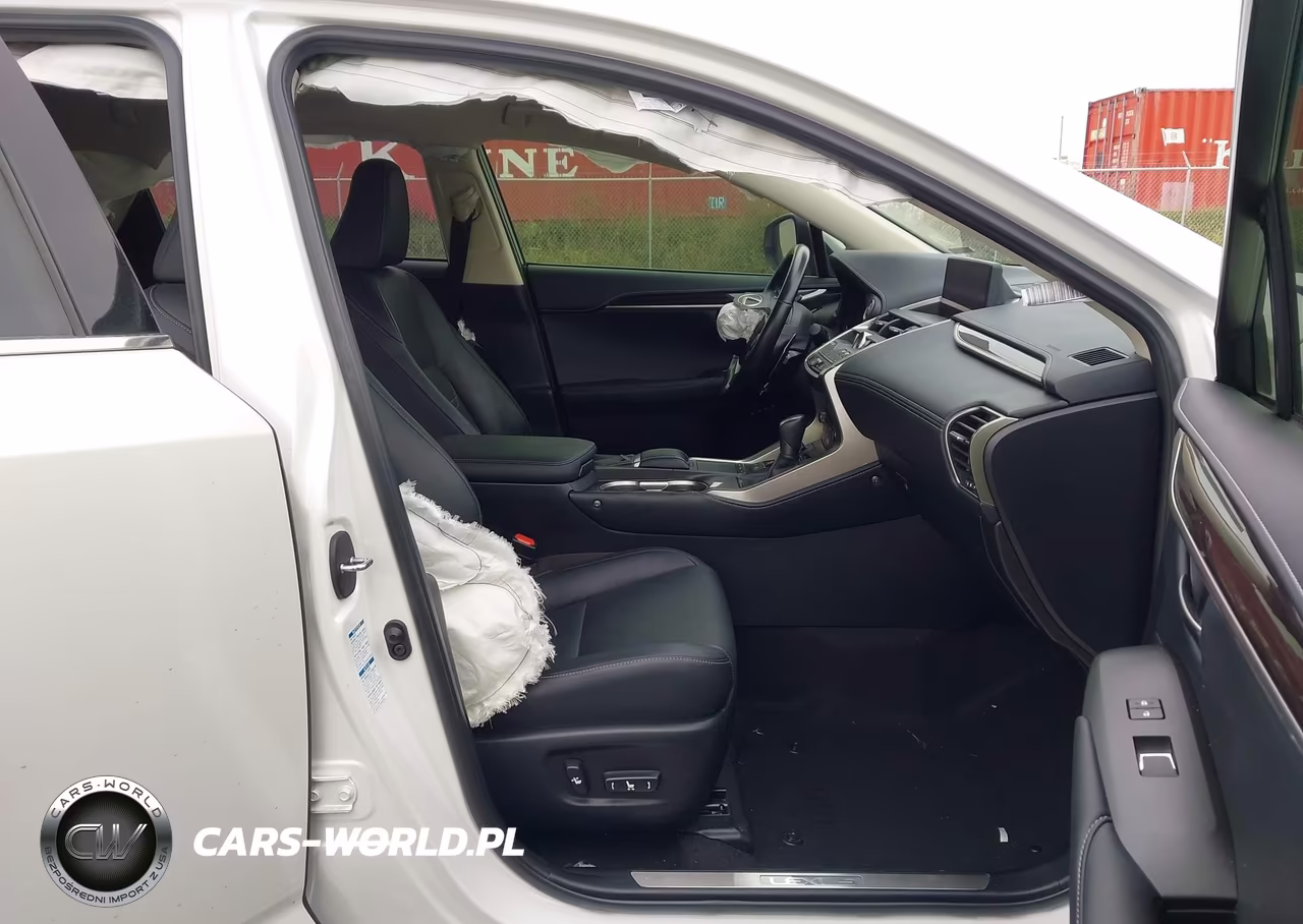 2020 Lexus Nx 300H Luxury VIN:JTJHJRDZ8L5006842 - 5