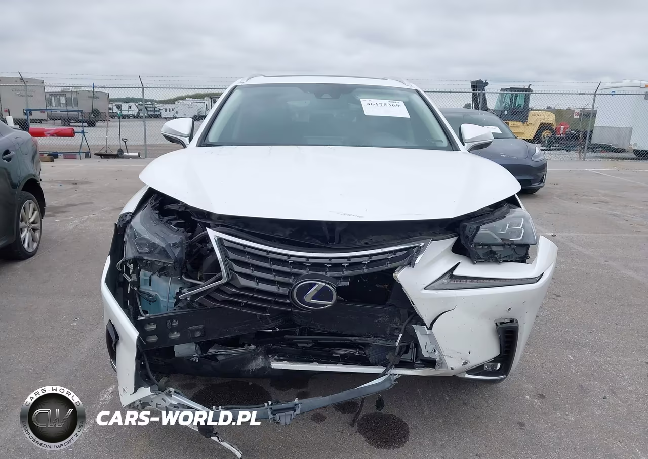 2020 Lexus Nx 300H Luxury VIN:JTJHJRDZ8L5006842 - 6
