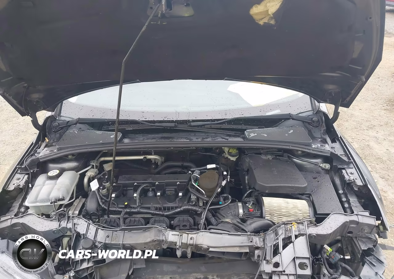 2016 Ford Focus Se VIN:1FADP3K24GL302936 - 10
