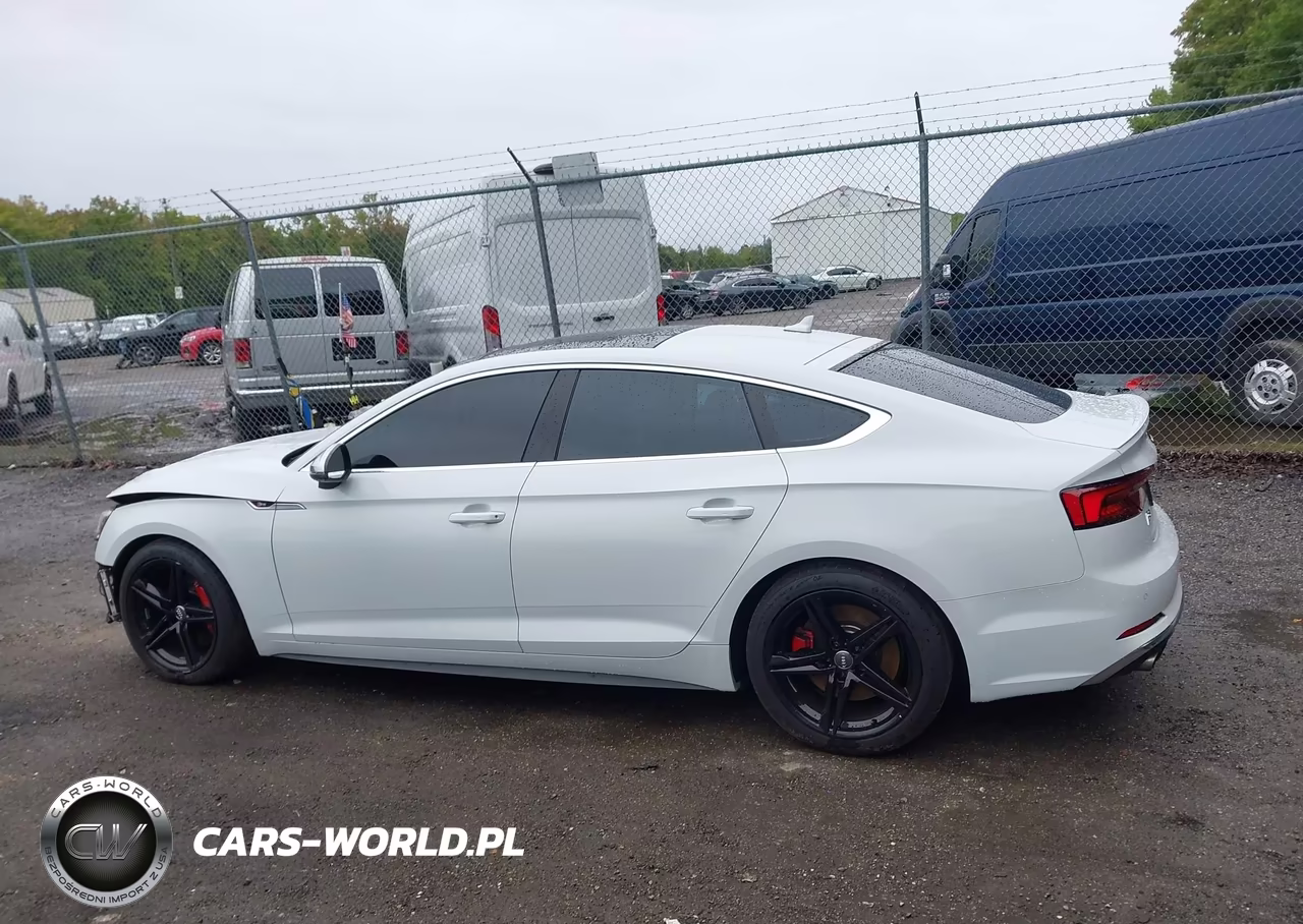 2019 Audi S5 3.0T Premium VIN:WAUB4CF58KA003059 - 14