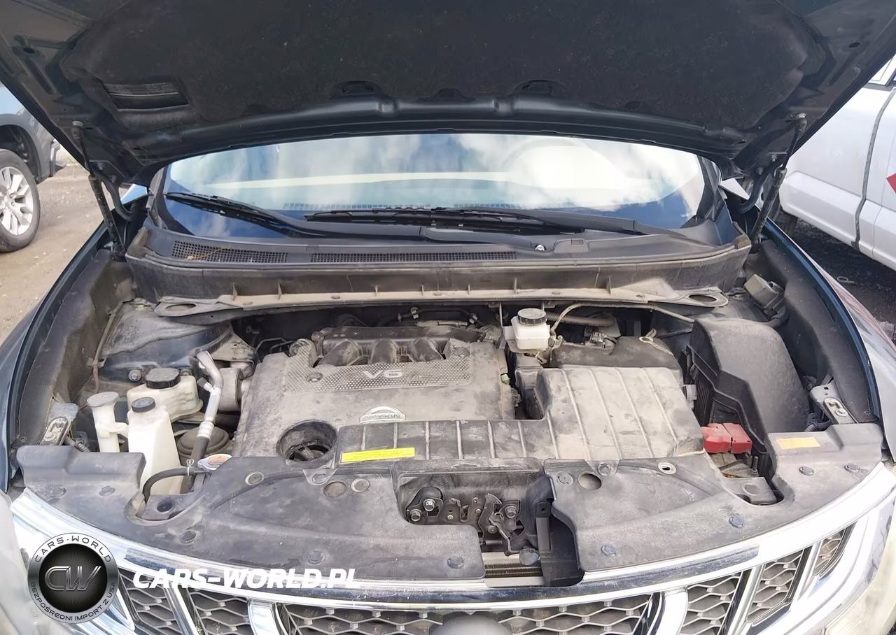 2014 Nissan Murano Le VIN:JN8AZ1MW9EW506143 - 10