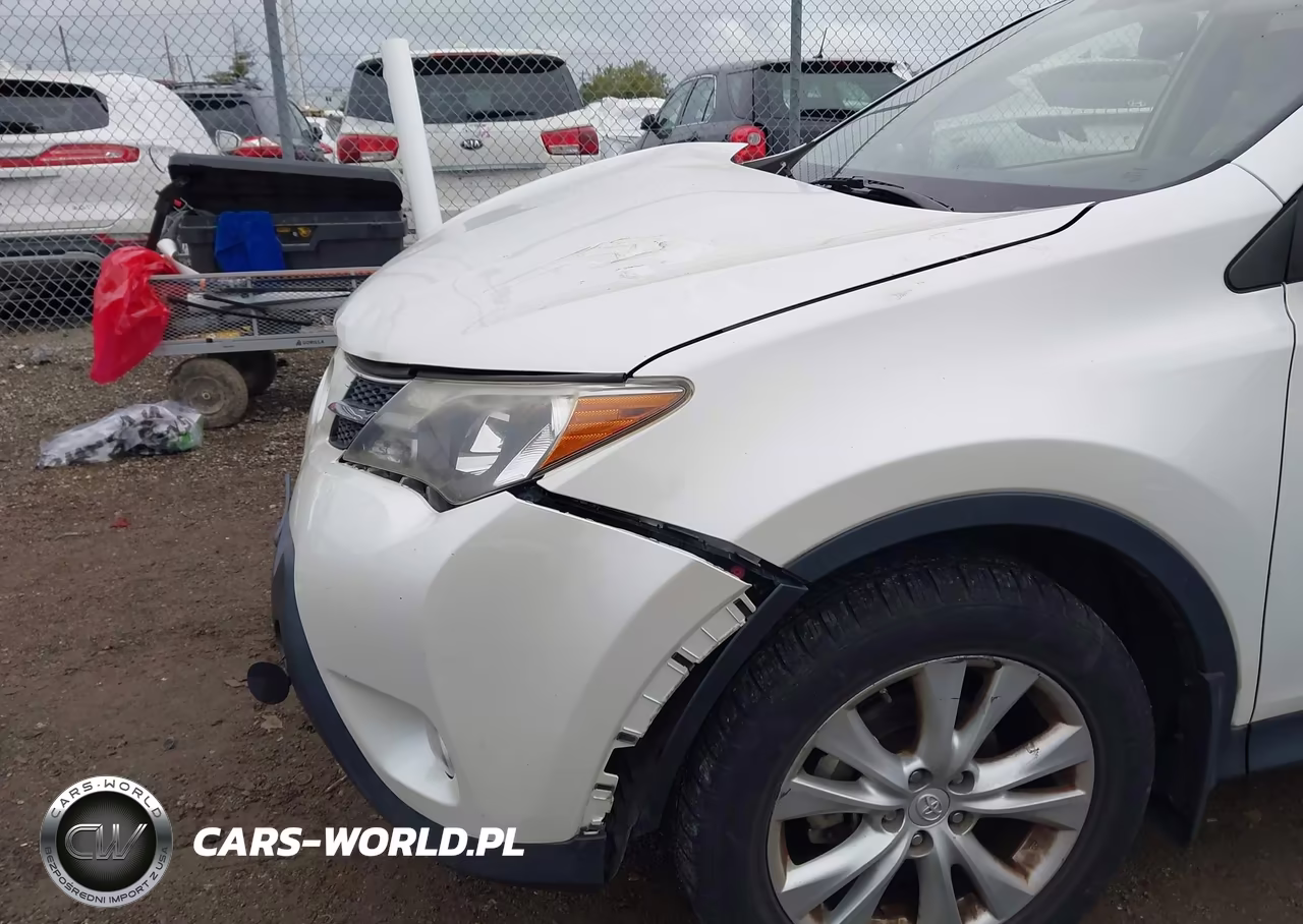 2013 Toyota Rav4 Limited VIN:JTMDFREV5DD009848 - 18
