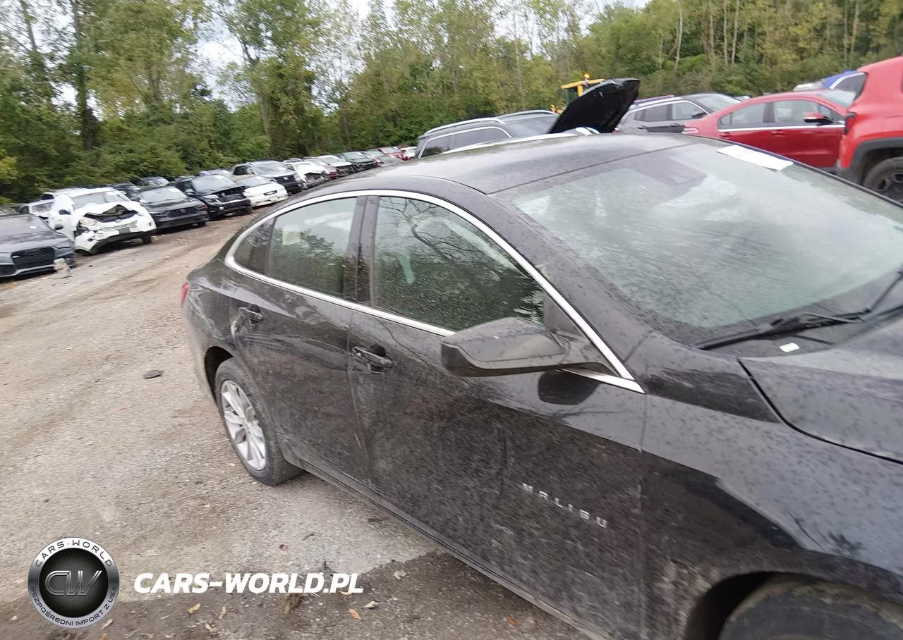 2023 Chevrolet Malibu Fwd 1Lt VIN:1G1ZD5ST9PF251308 - 13