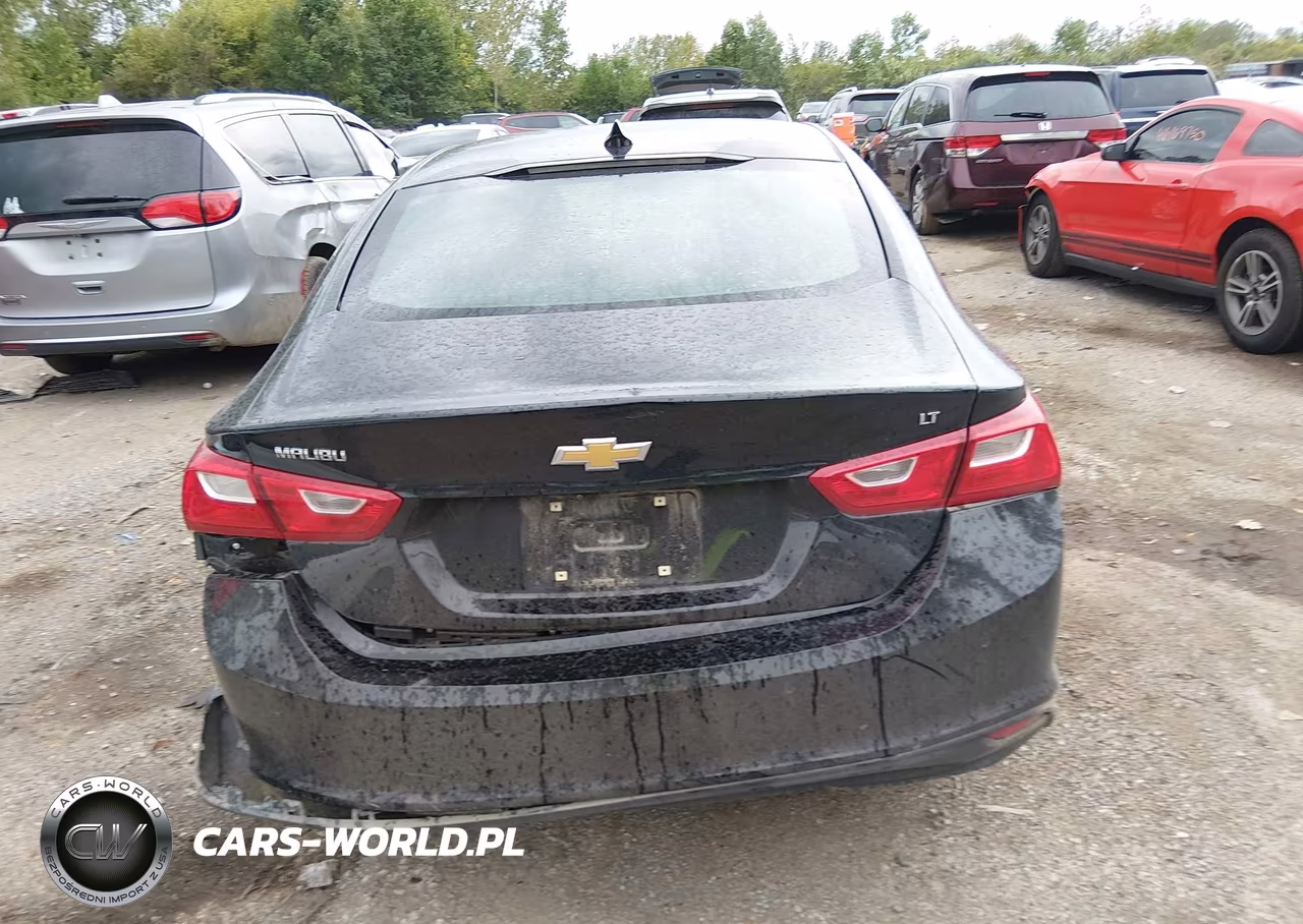 2023 Chevrolet Malibu Fwd 1Lt VIN:1G1ZD5ST9PF251308 - 16
