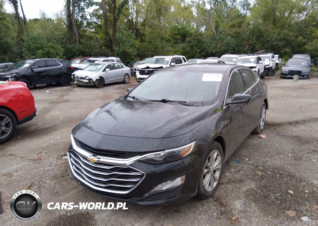2023 Chevrolet Malibu Fwd 1Lt VIN:1G1ZD5ST9PF251308 - 2