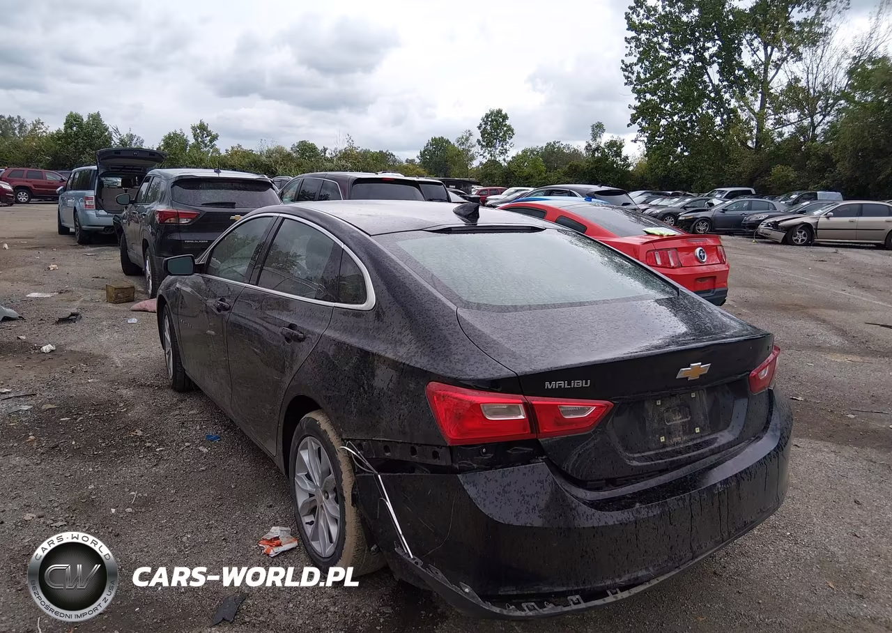 2023 Chevrolet Malibu Fwd 1Lt VIN:1G1ZD5ST9PF251308 - 3