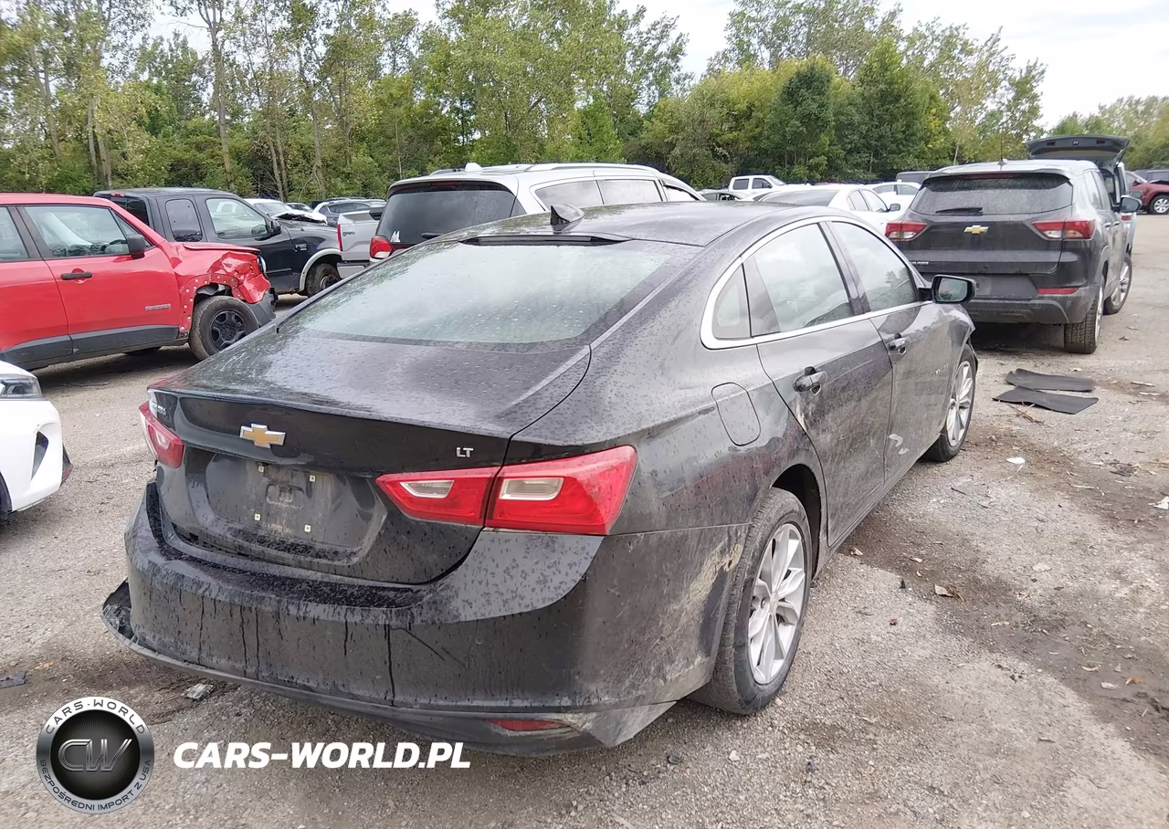 2023 Chevrolet Malibu Fwd 1Lt VIN:1G1ZD5ST9PF251308 - 4