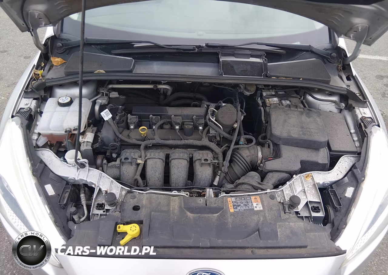 2016 Ford Focus S VIN:1FADP3E2XGL248232 - 10
