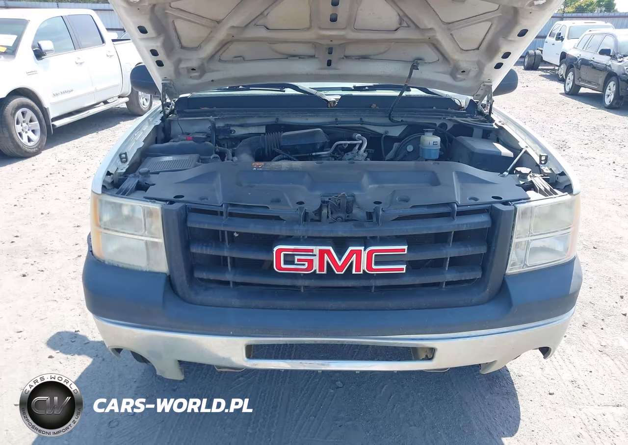 2009 GMC Sierra 1500 Work Truck VIN:1GTEC14X69Z214476 - 10