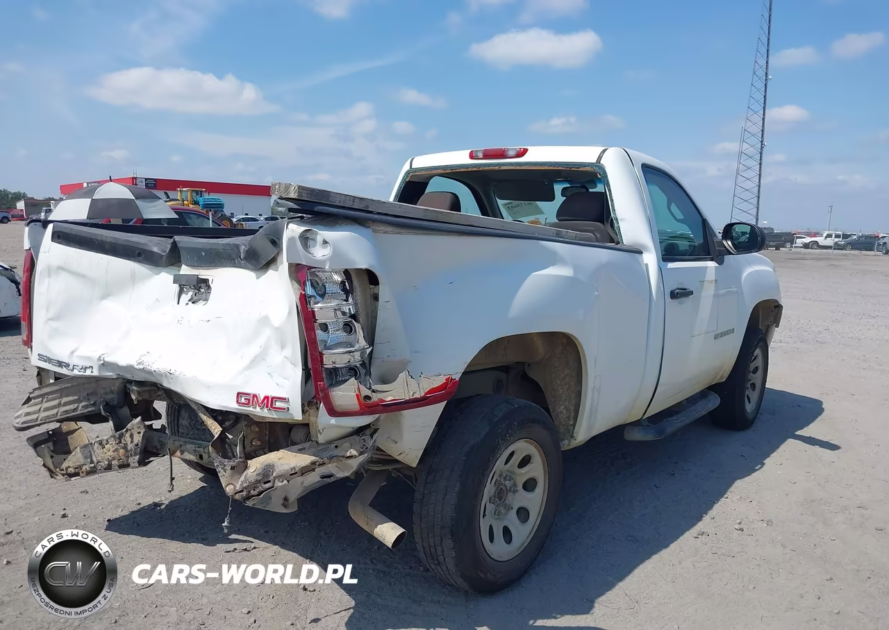 2009 GMC Sierra 1500 Work Truck VIN:1GTEC14X69Z214476 - 4