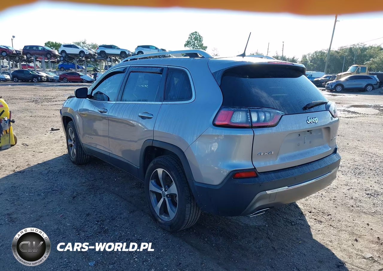 2019 Jeep Cherokee Limited 4X4 VIN:1C4PJMDX9KD303591 - 3