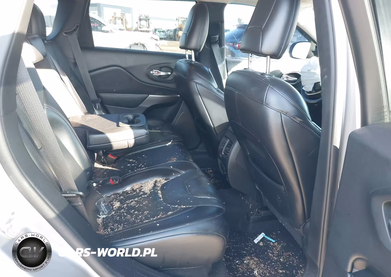 2019 Jeep Cherokee Limited 4X4 VIN:1C4PJMDX9KD303591 - 8