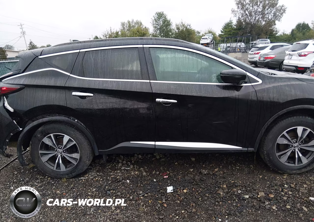 2020 Nissan Murano Sv Intelligent Awd VIN:5N1AZ2BS0LN106164 - 13