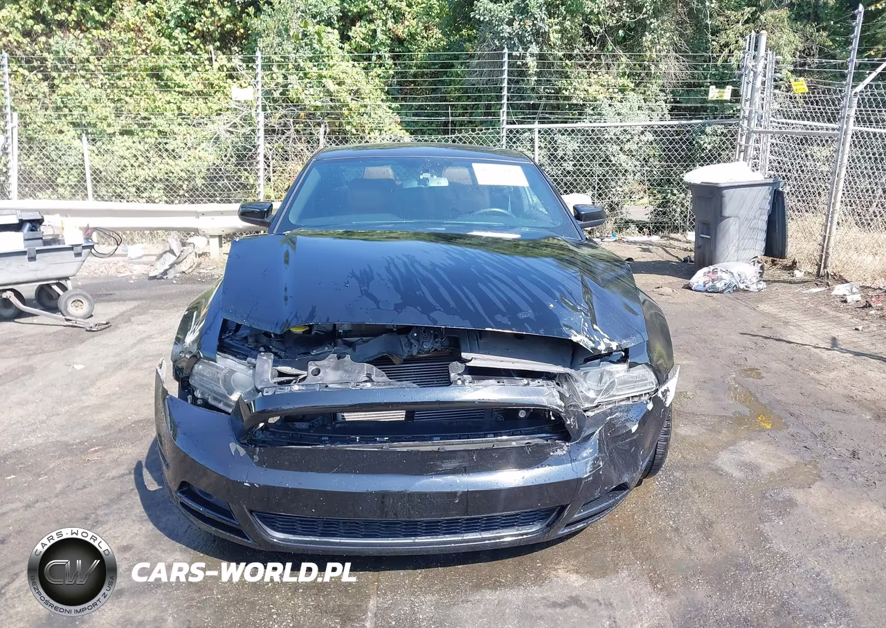 2013 Ford Mustang V6 Premium VIN:1ZVBP8AM0D5233094 - 12