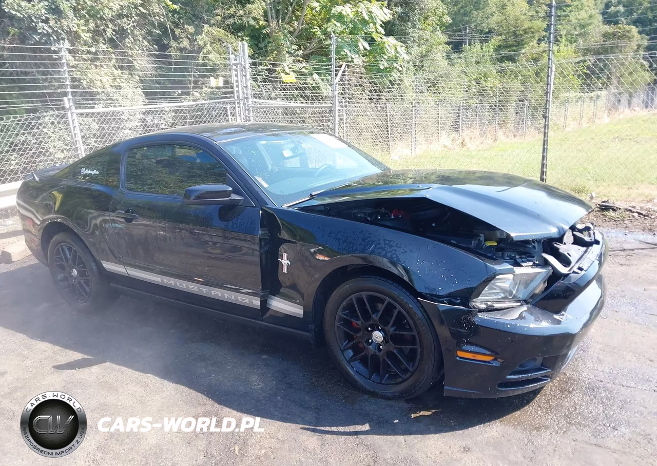 2013 Ford Mustang V6 Premium VIN:1ZVBP8AM0D5233094 - 13