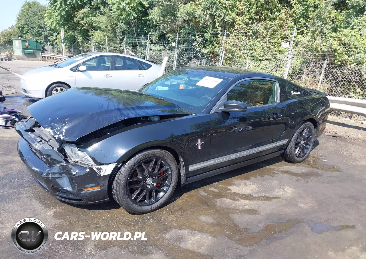 2013 Ford Mustang V6 Premium VIN:1ZVBP8AM0D5233094 - 14
