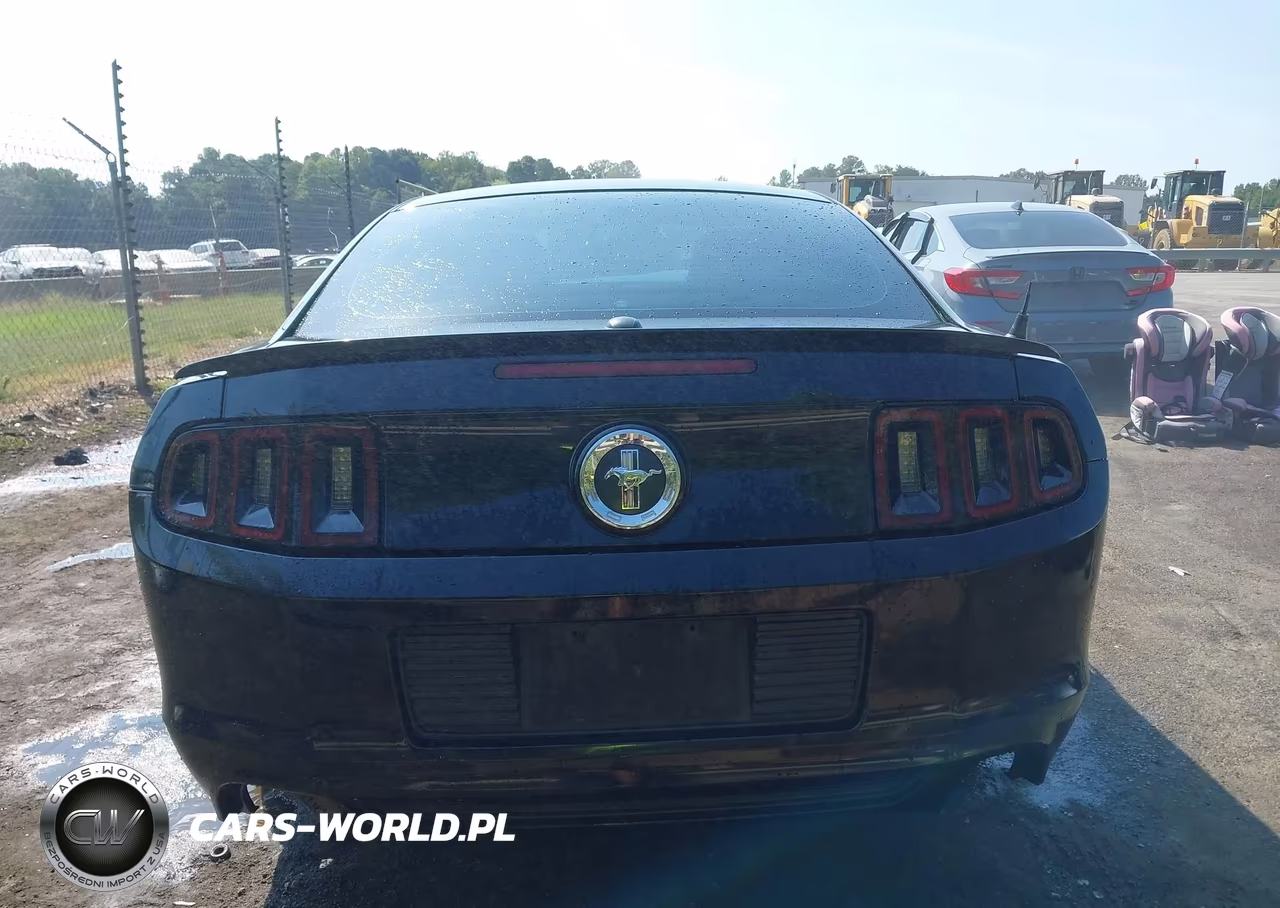 2013 Ford Mustang V6 Premium VIN:1ZVBP8AM0D5233094 - 16