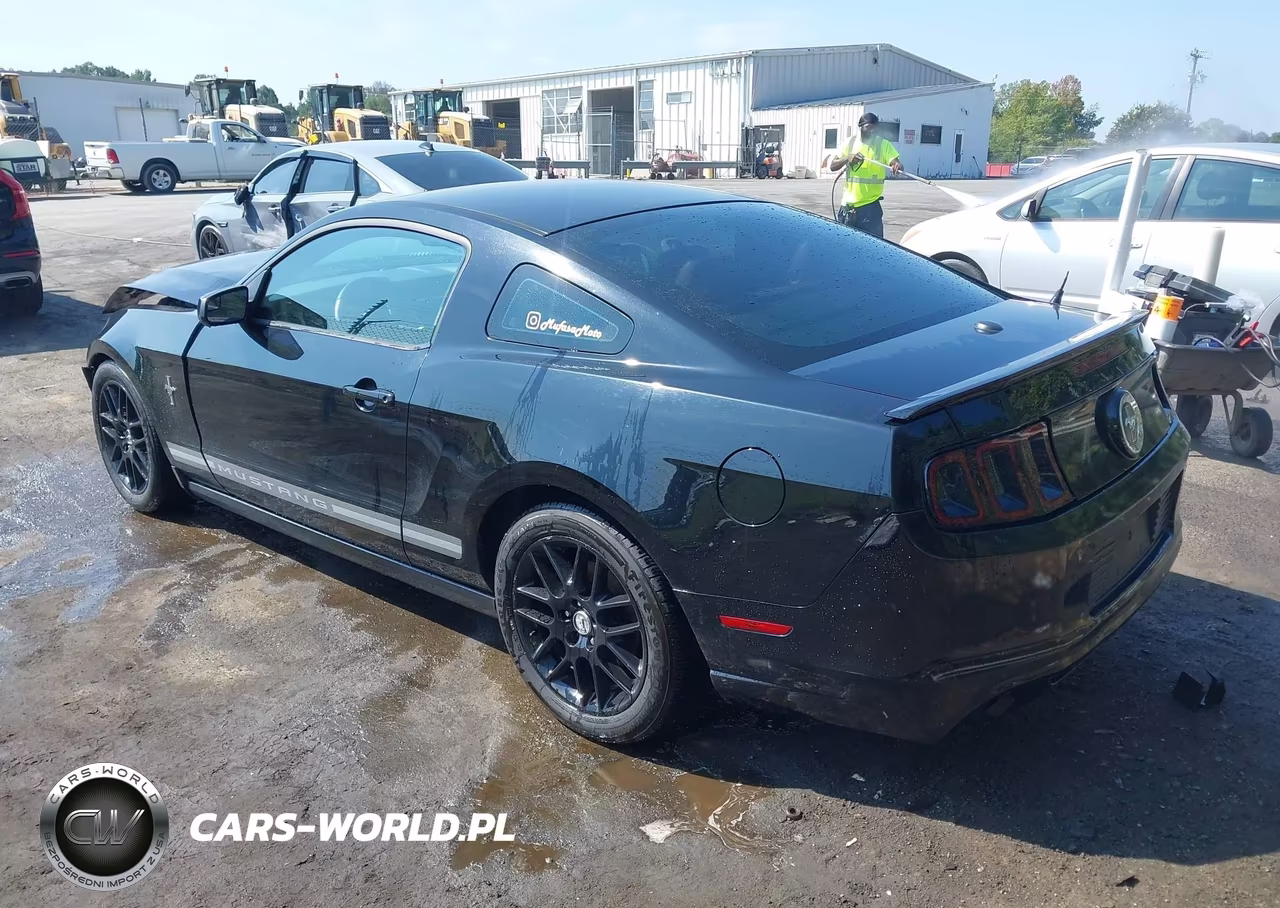 2013 Ford Mustang V6 Premium VIN:1ZVBP8AM0D5233094 - 3