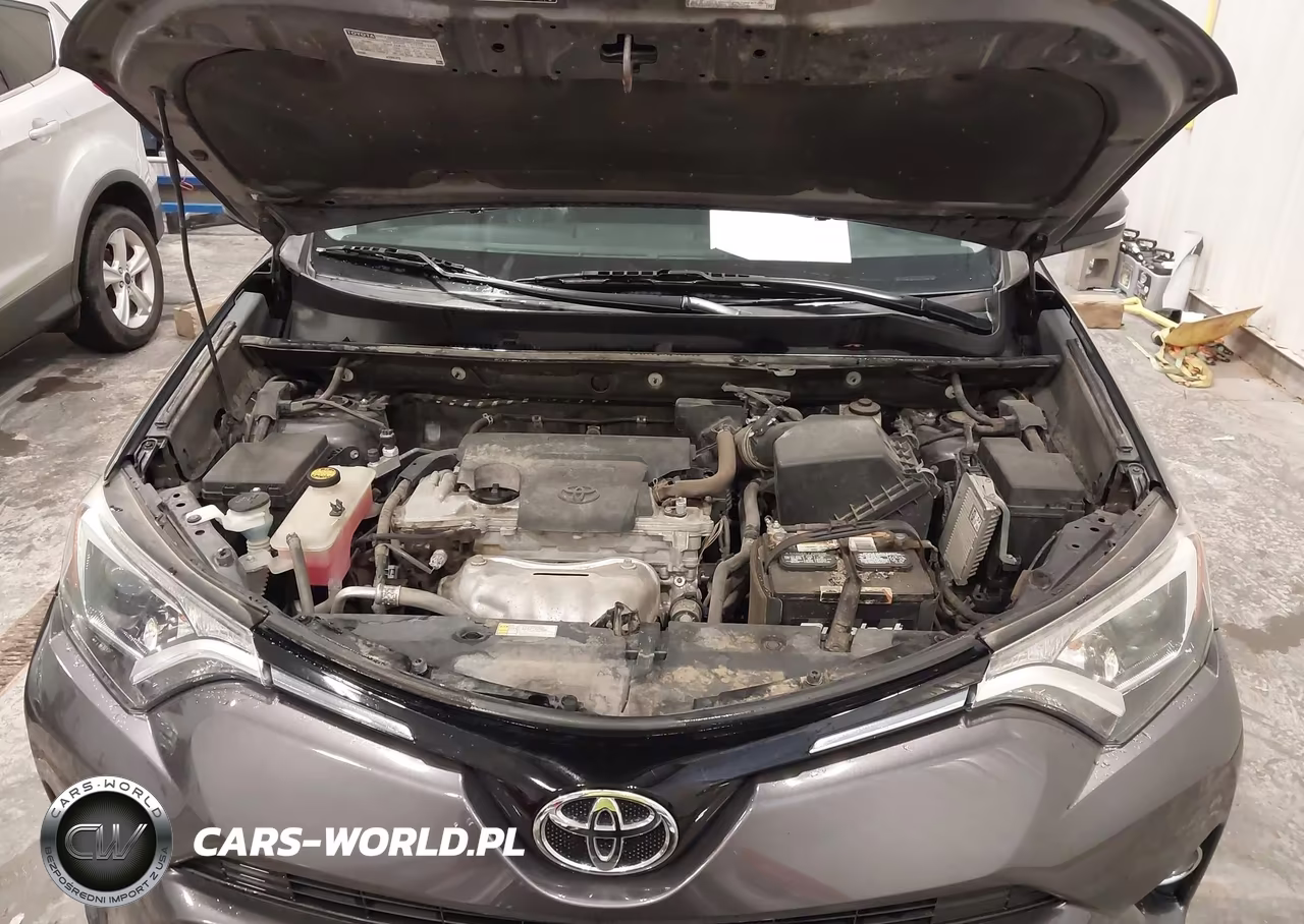 2016 Toyota Rav4 Xle VIN:2T3RFREV9GW434535 - 10