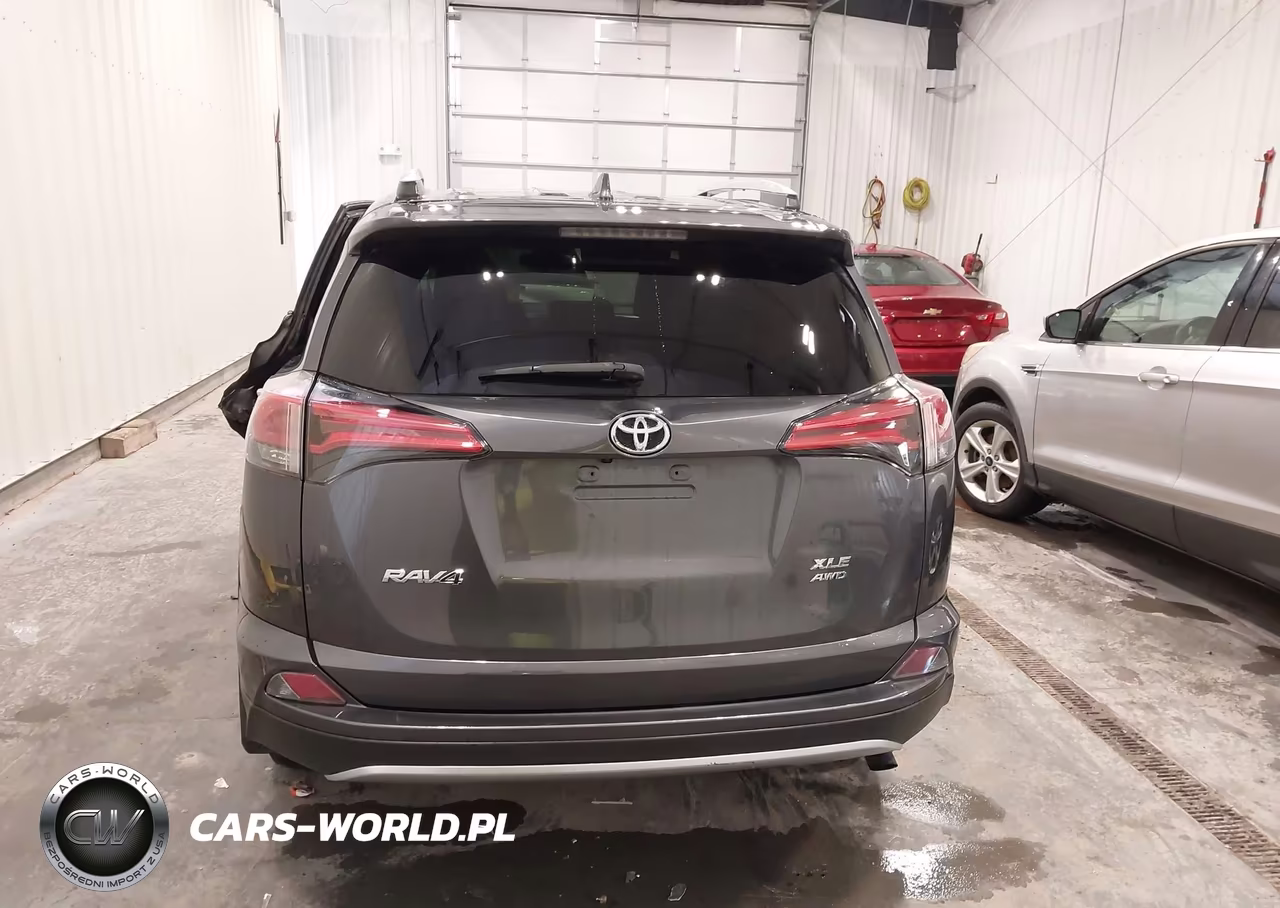 2016 Toyota Rav4 Xle VIN:2T3RFREV9GW434535 - 16