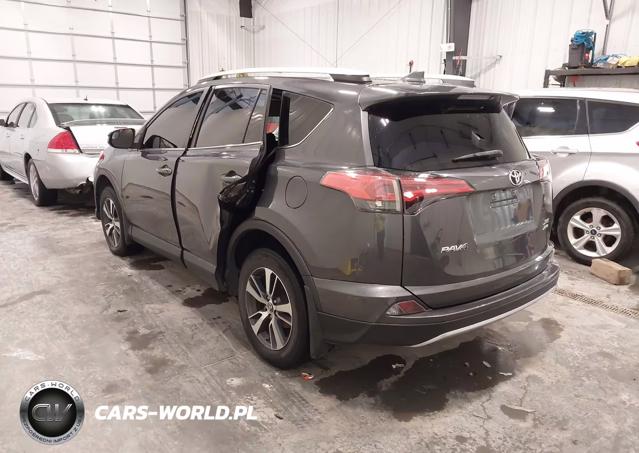 2016 Toyota Rav4 Xle VIN:2T3RFREV9GW434535 - 3