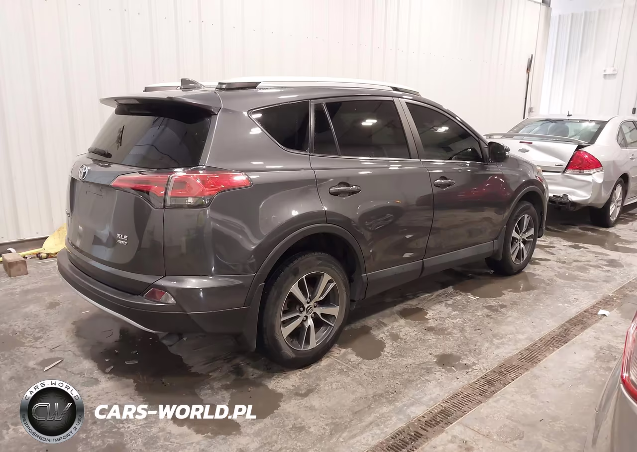 2016 Toyota Rav4 Xle VIN:2T3RFREV9GW434535 - 4