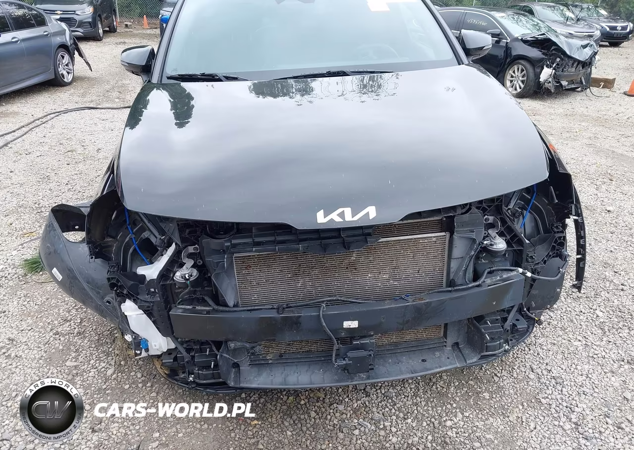 2023 Kia Sportage X-Pro VIN:5XYK7CAF7PG038175 - 19