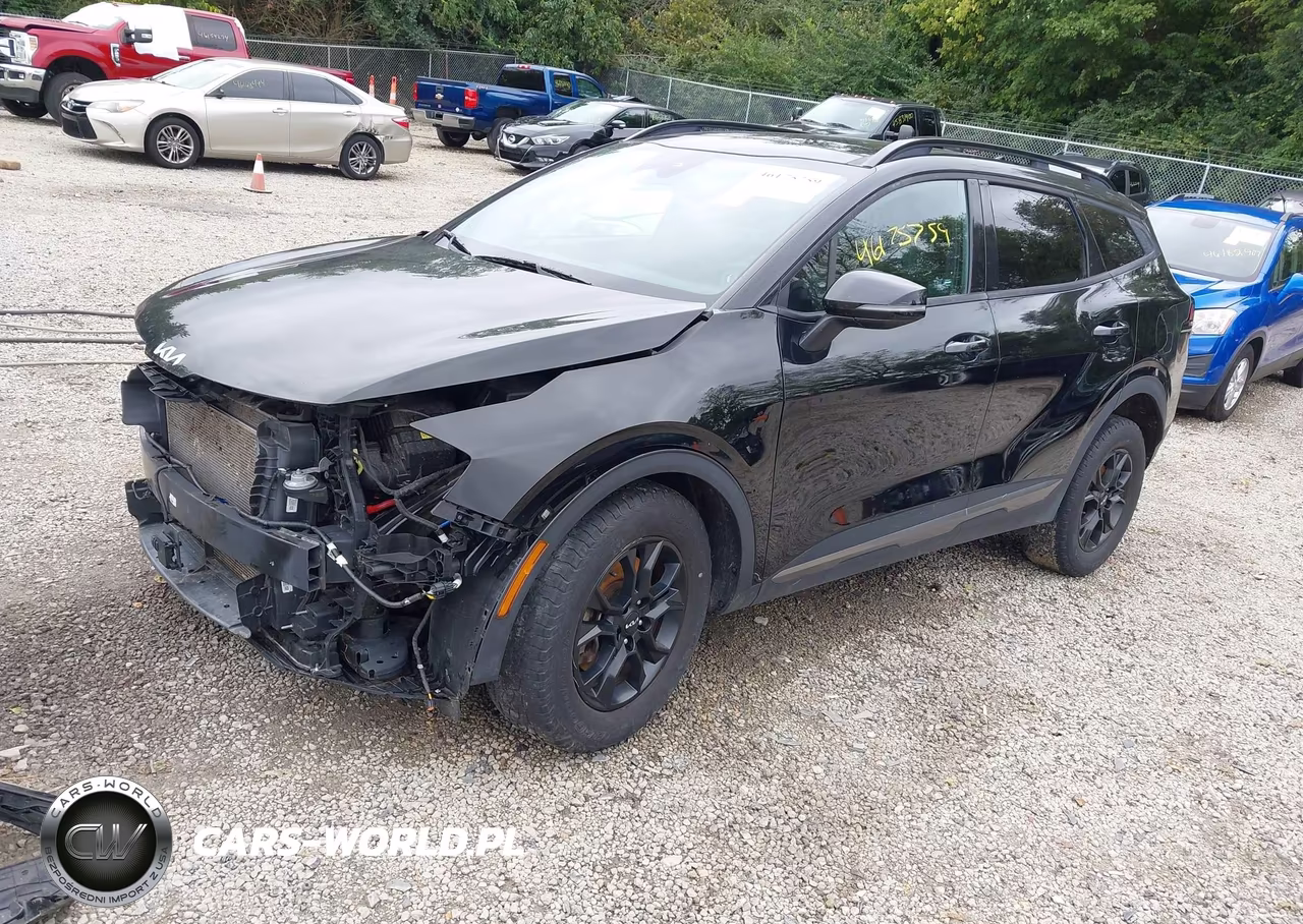 2023 Kia Sportage X-Pro VIN:5XYK7CAF7PG038175 - 2